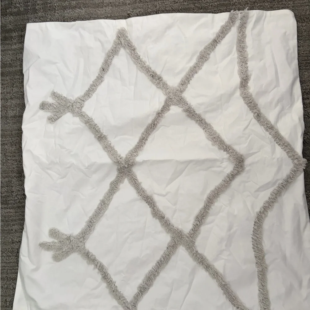 West Elm and PB Elegant EUROPEAN SHAM lot